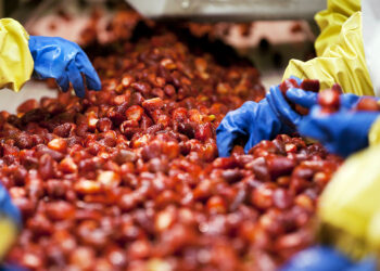 Grupo Altex, Agroalimentos. Expansion 500