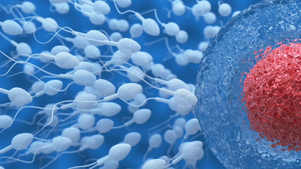 Insemination concept
