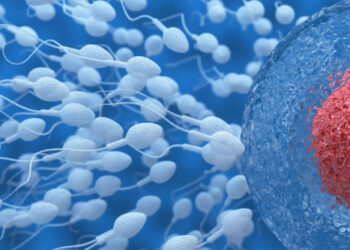 3d illustration of sperm and egg cell. Insemination concept