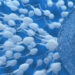 3d illustration of sperm and egg cell. Insemination concept