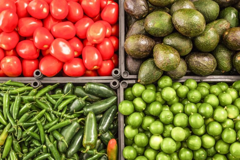 exp-agroalimentario