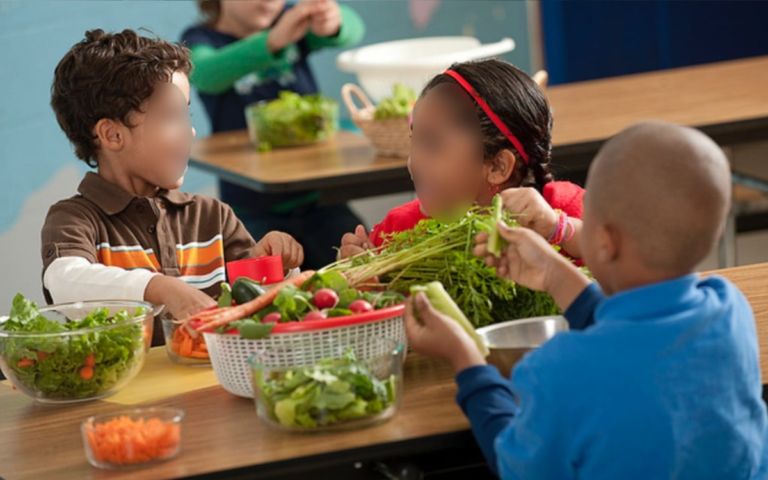 vida-saludable-materia-alimentacion-base-plantas-veganas-nutricionista-obesidad-sobrepeso-comida-chatarra-refrescos-verduras-frutas-semillas-9-16122020