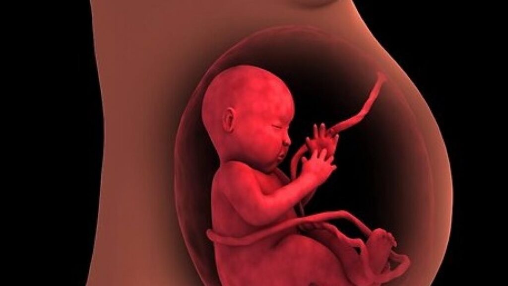 placenta-baja-o-previa