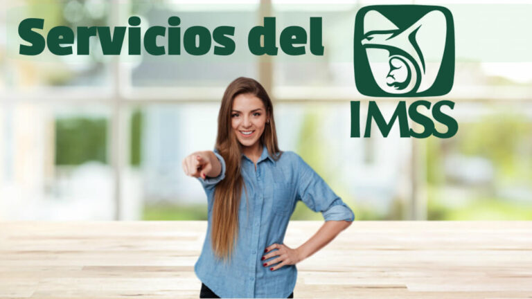 servicios-del-imssd