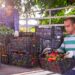 Man and woman load boxes of ripe bell peppers into the back of a truck