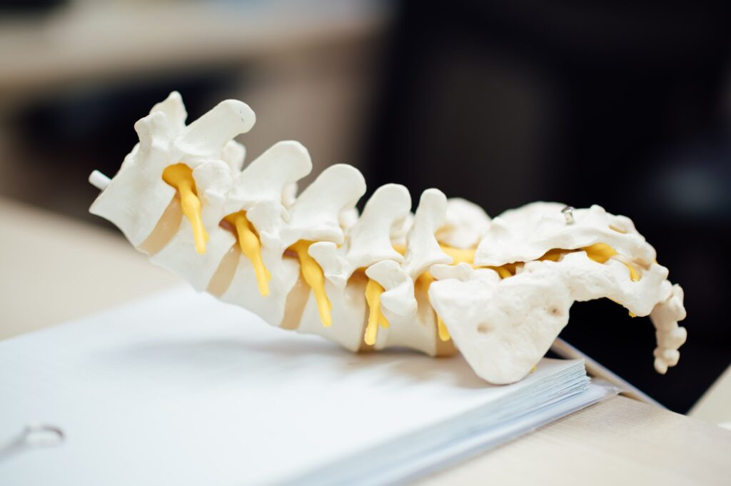 Ilustra huesos de la Columna Vertebral, tema del que habla el Centro de la Columna Vertebral