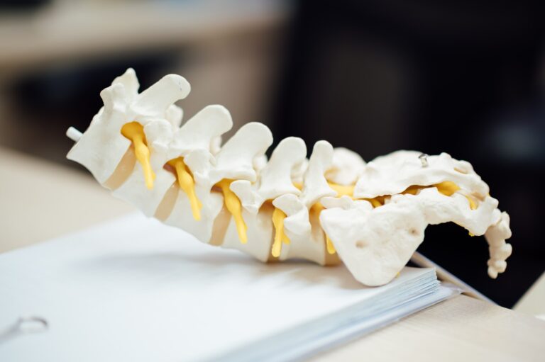 Ilustra huesos de la Columna Vertebral, tema del que habla el Centro de la Columna Vertebral
