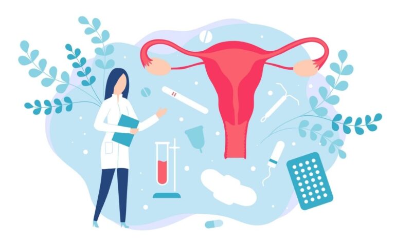 ilustracion-ciclo-menstrual-liliia-kyrylenko