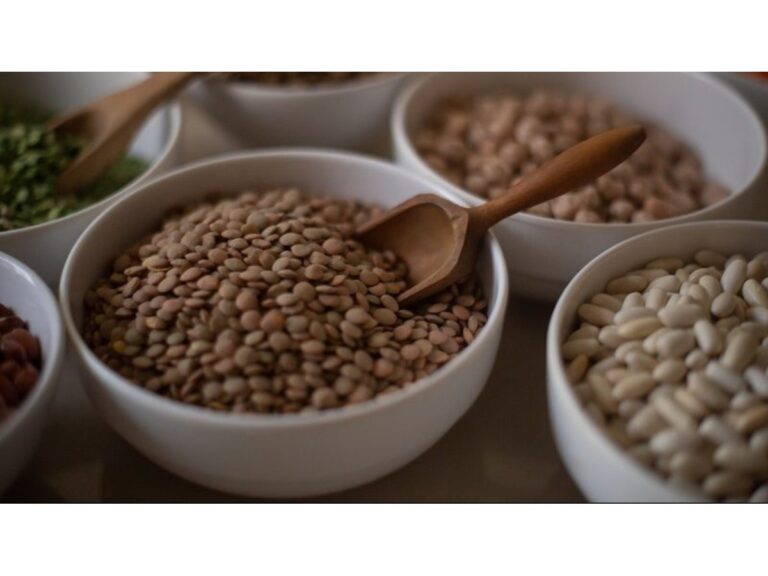 crece-la-demanda-de-proteinas-alternativas-a-la-carne