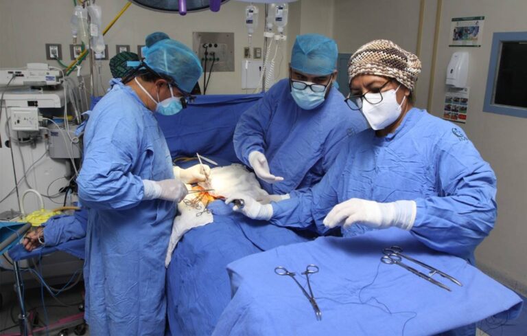 trasplantes-organos-imss
