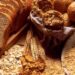 30/06/2014 Pan y cereales.

La pirámide de Estrategia para la Nutrición, Actividad Física y Prevención de la Obesidad (NAOS) del Ministerio de Sanidad destaca que la principal función de los cereales es la energética para el organismo en general y para el cerebro y el sistema nervioso en particular, debido a las calorías procedentes de los hidratos de carbono.

ESPAÑA EUROPA MADRID SALUD
PAN CADA DÍA
