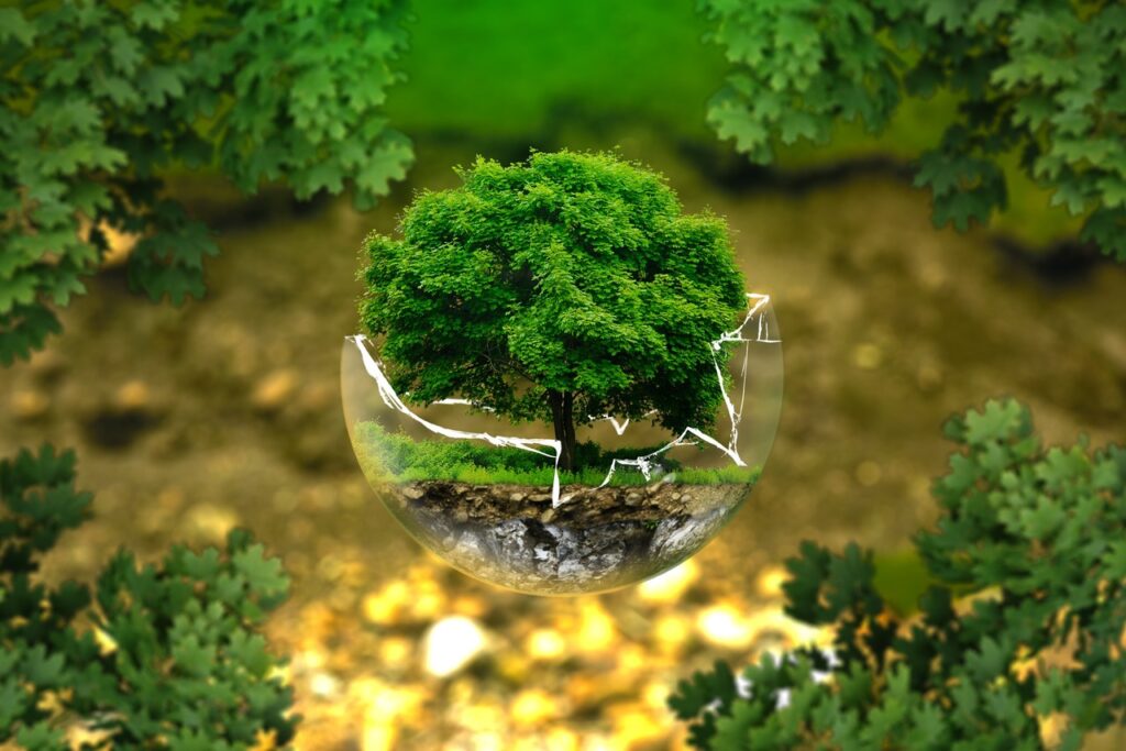 tree-nature-forest-grass-plant-lawn-1104676-pxhere