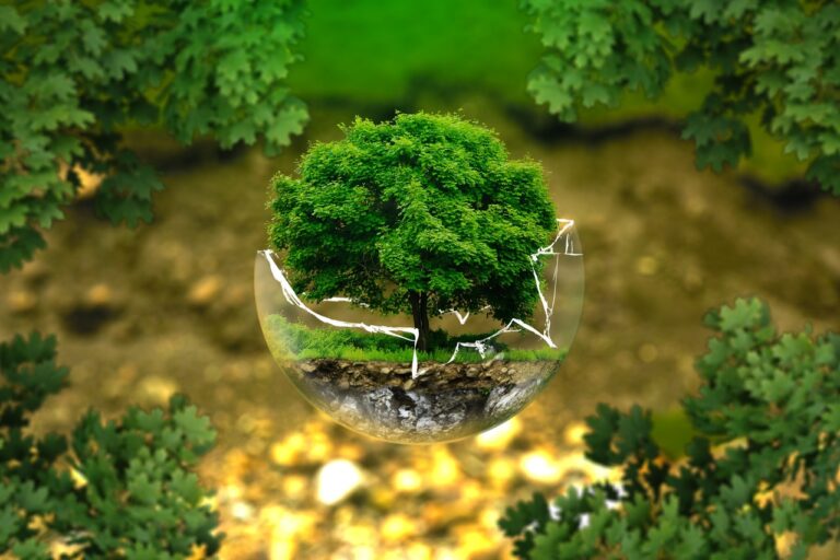 tree-nature-forest-grass-plant-lawn-1104676-pxhere