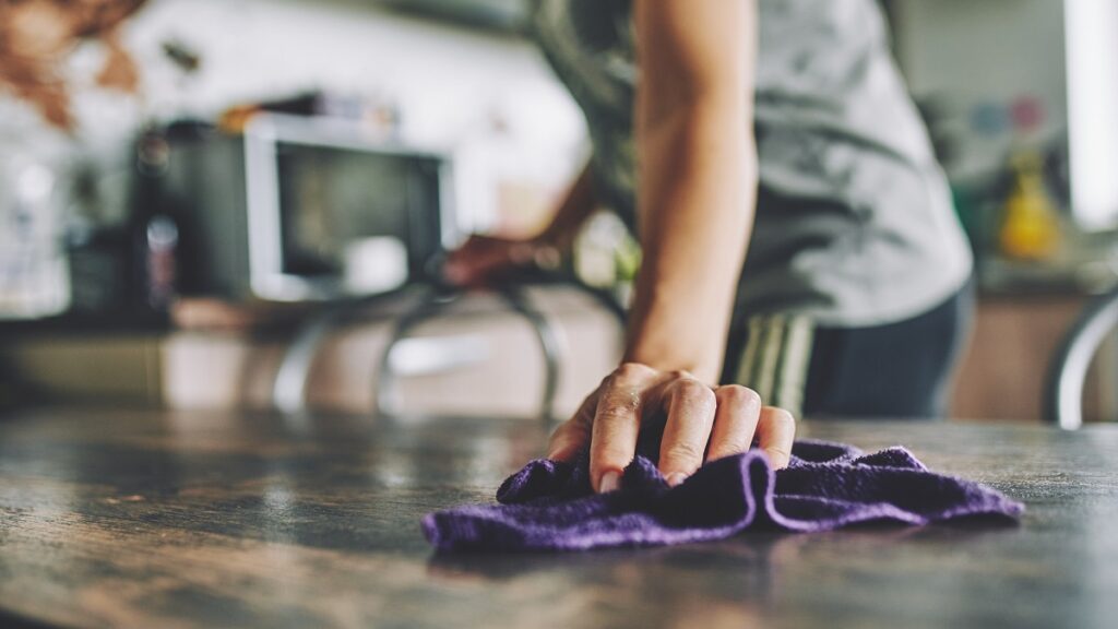 Cleaning of the house and apartment
