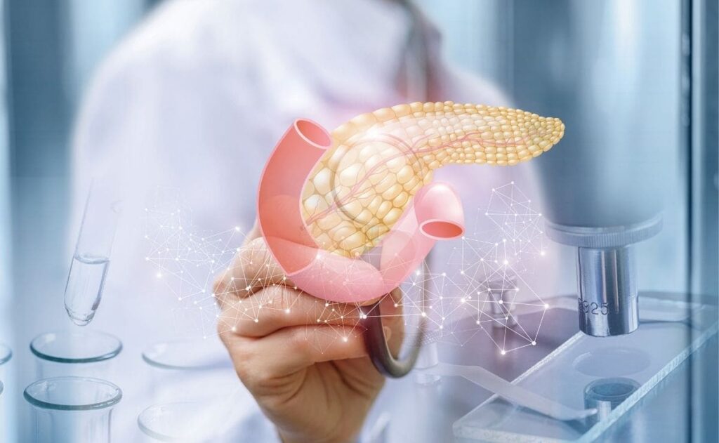 pancreas-artificial-glcuosa