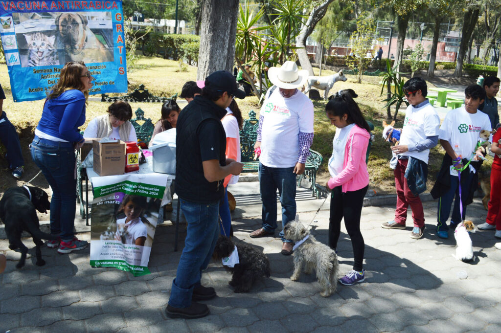 vacunacion-rabia-mexico-1-1500x997