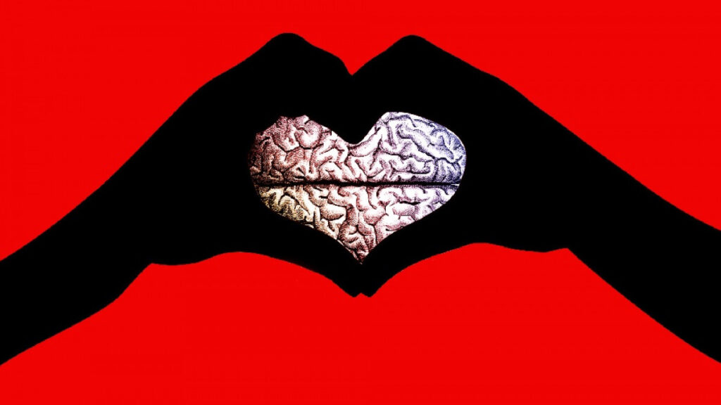 el amor es un proceso biológico.