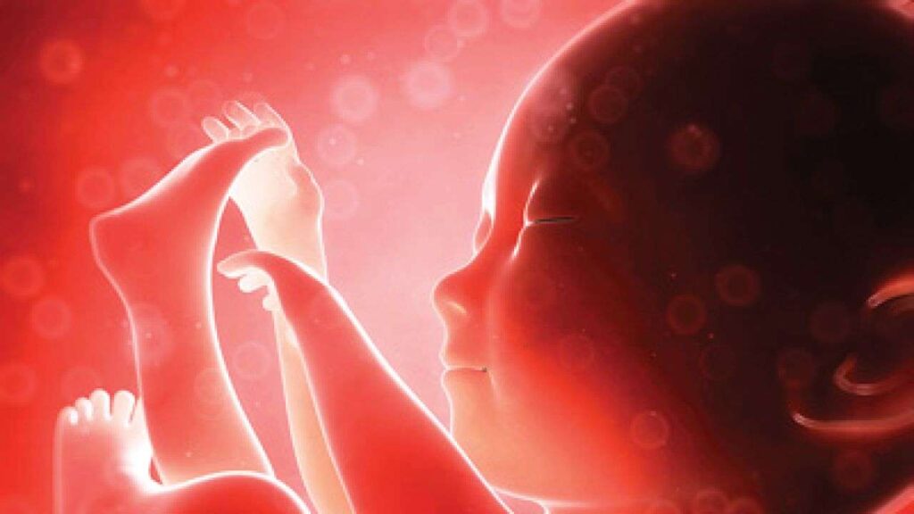 1998299-282150-abortion-dnaindia
