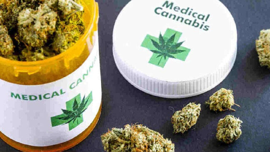 cannabis medicinal