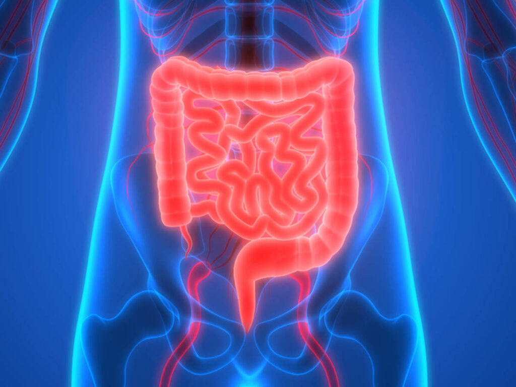 la-importancia-de-la-microbiota-