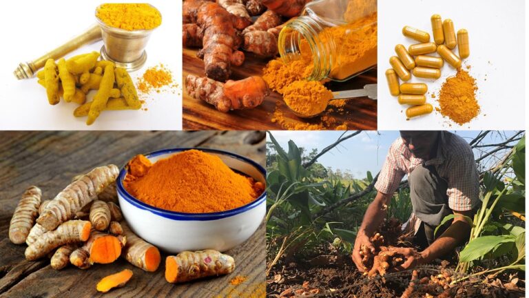 CURCUMA