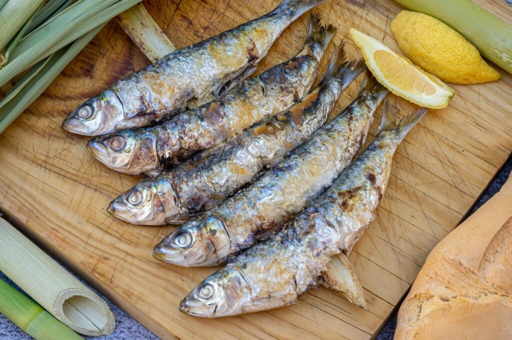 sardinas