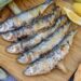sardinas