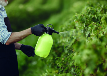 Impulsan detección de glifosato en el ambiente y humanos