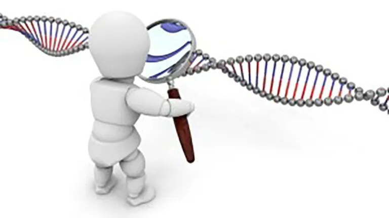diagnostico genetico