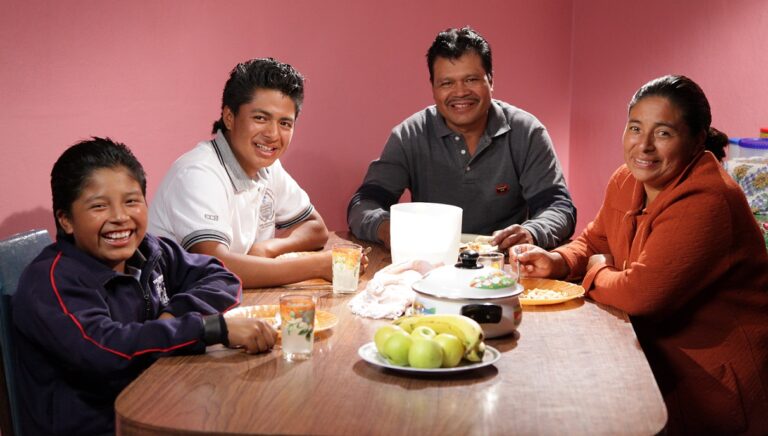 alimentacion