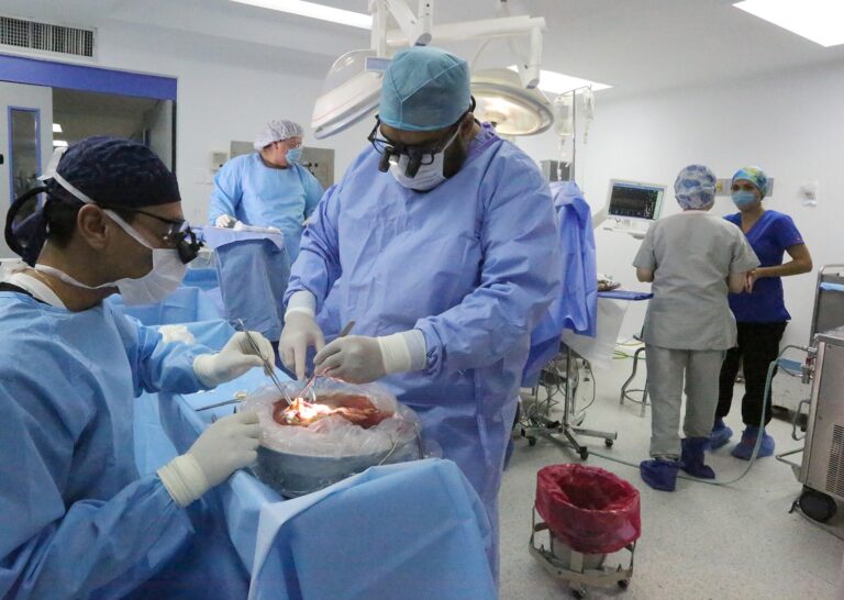 donacion de organos