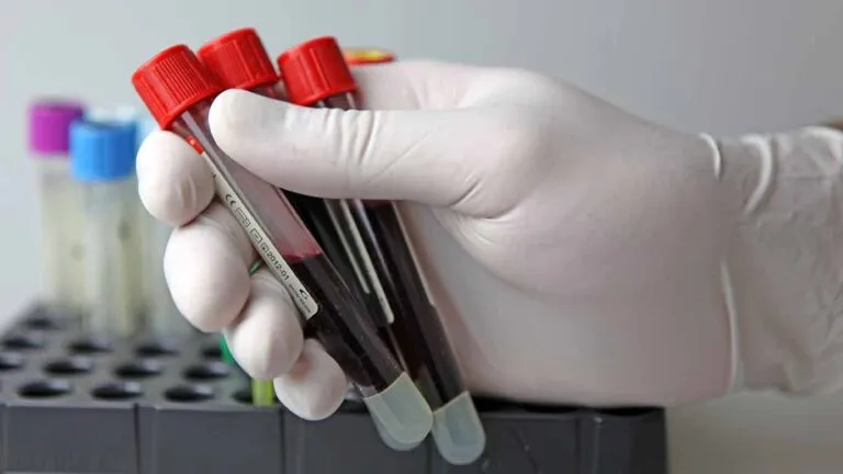 Scientist working at the laboratory