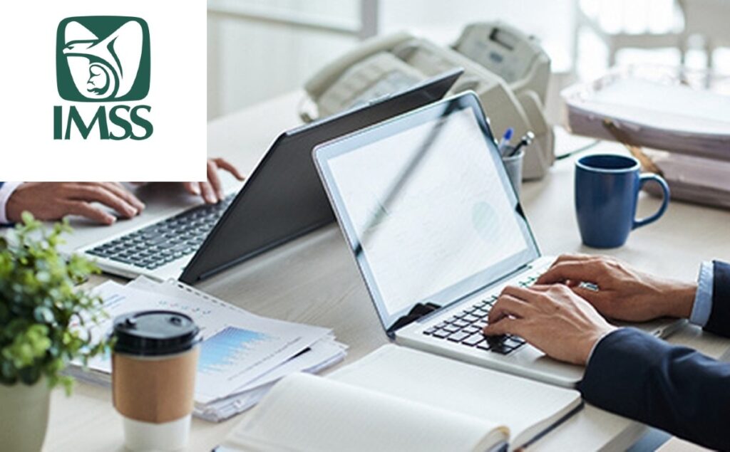 imss bases