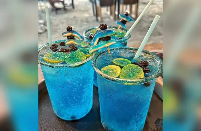 xr:d:DAFNuuZ-Tn4:530,j:194052022143952931,t:23072117