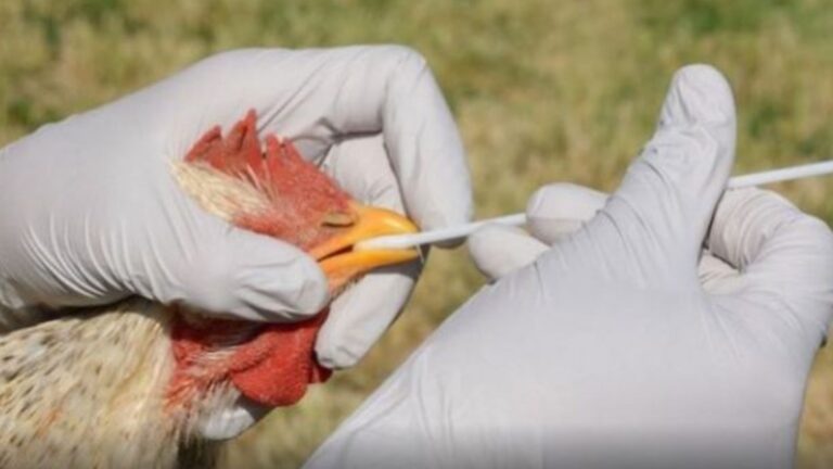 xr:d:DAFPs1vmLC8:3,j:38697379534,t:22102119