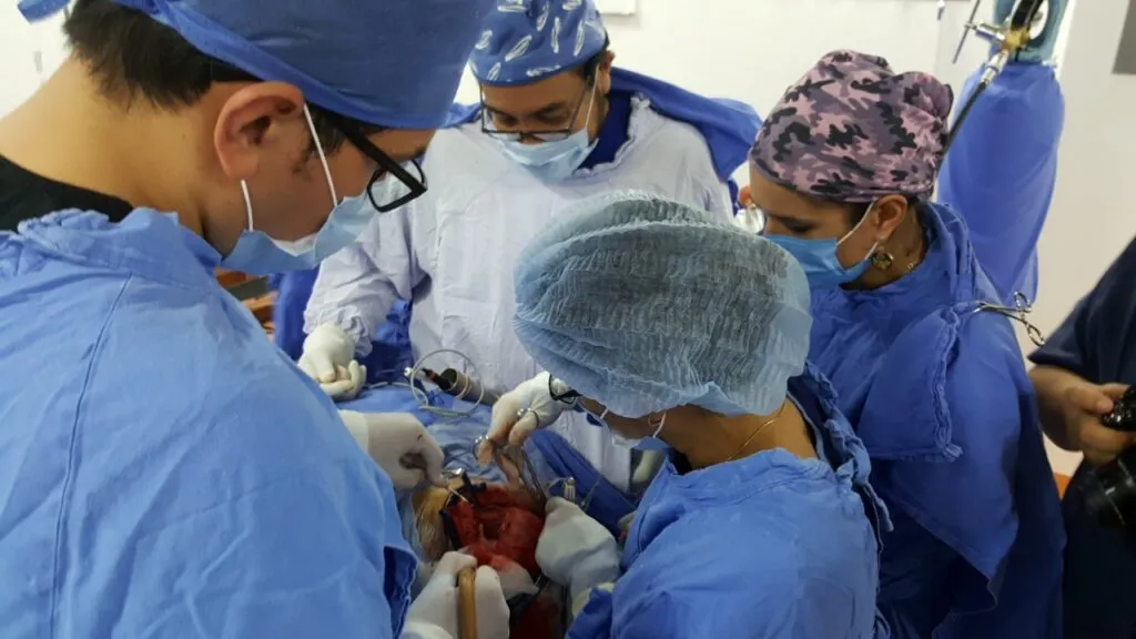 Neurocirugía Pediátrica