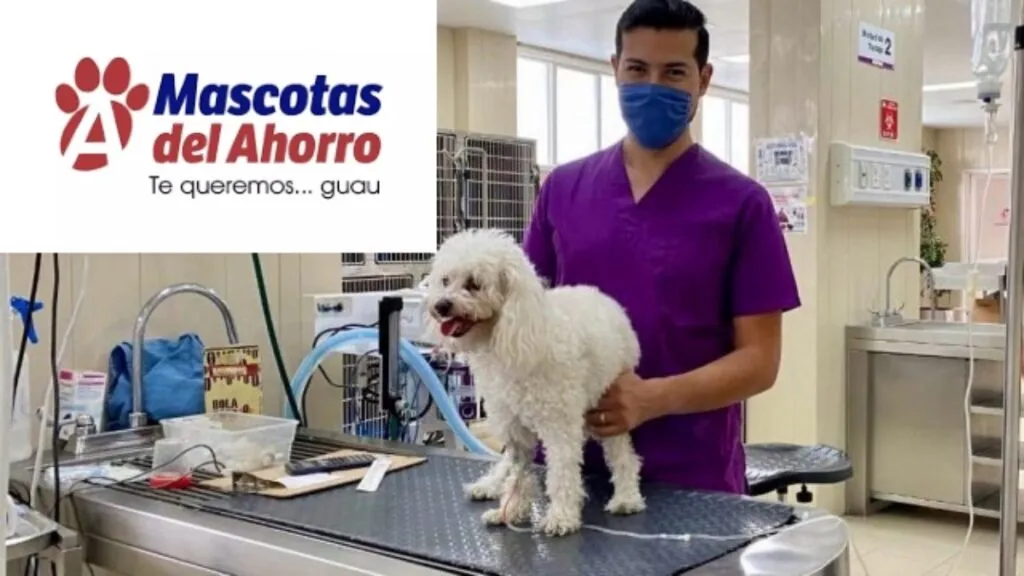 mascotas ahorro