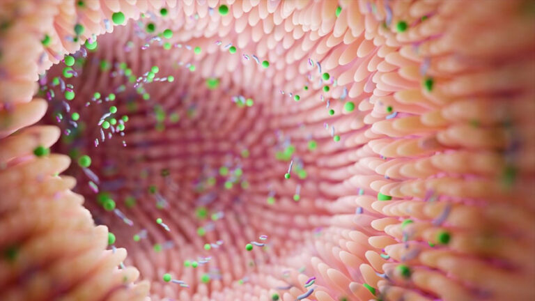microbioma
