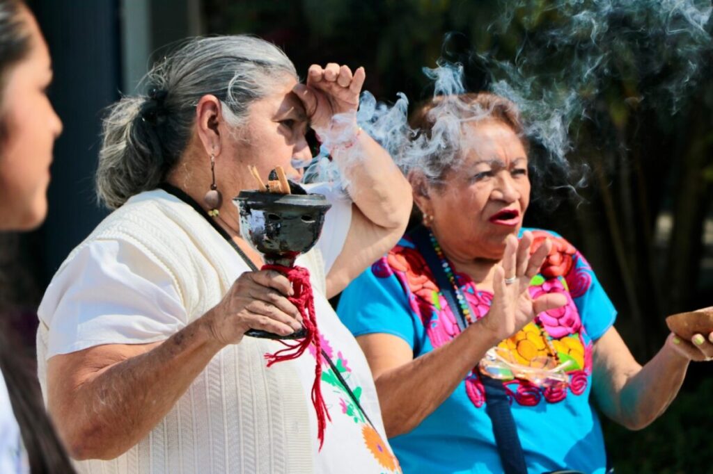 médicos tradicionales