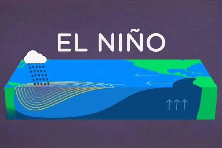 niño