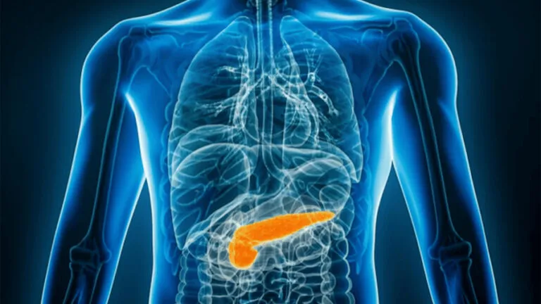 pancreas