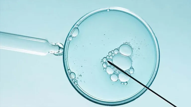 in vitro