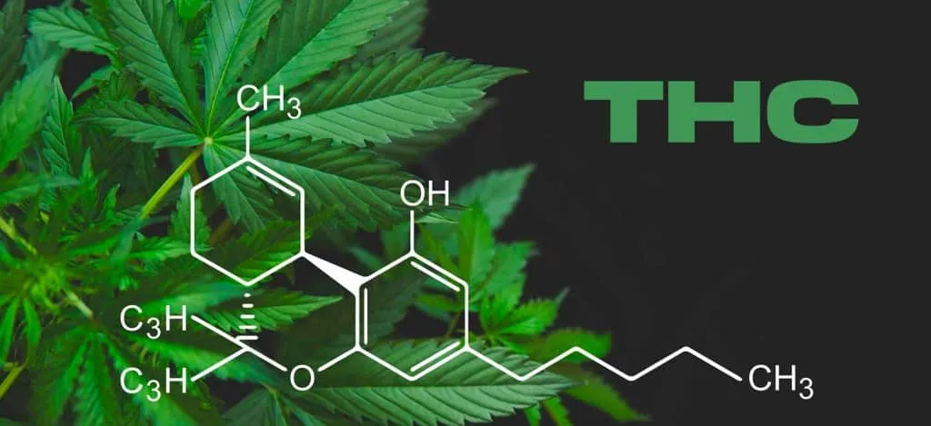 thc