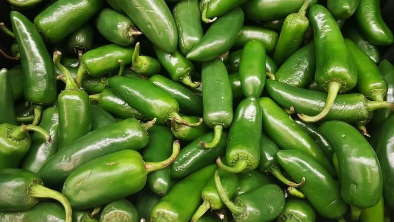 chiles