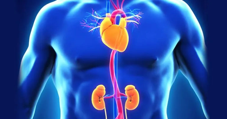 cardiorenal