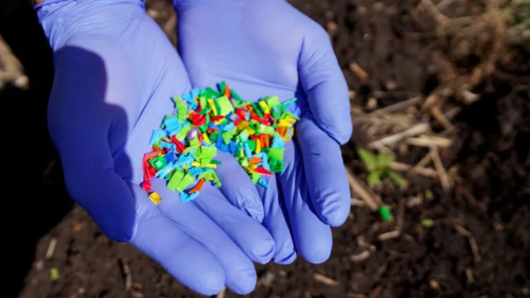 microplasticos