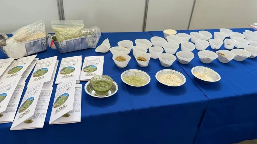 nopales