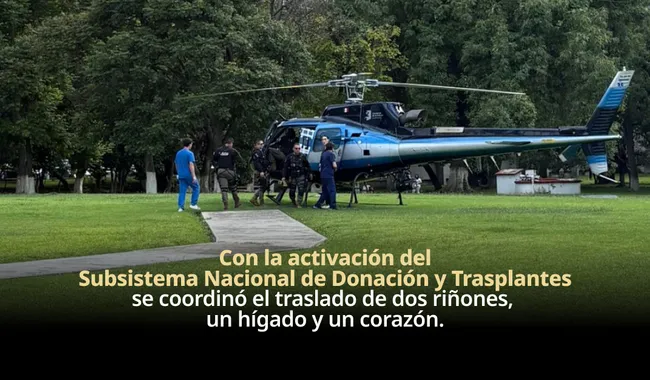 donación organos